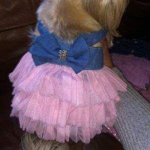 Toy breed puppy dresses!
